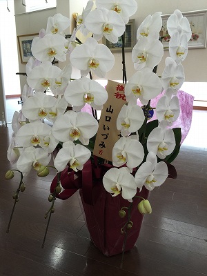 山口いづみさん