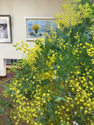 笹倉鉄平、mimosa