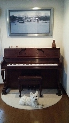 エデルシュタイン村へ