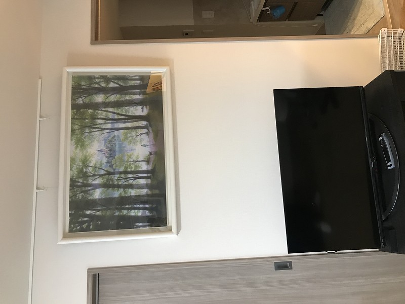 tsan_teppeisasakuragallery